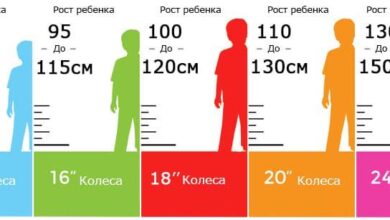 Photo of Как правильно определить размер велосипеда для ребенка